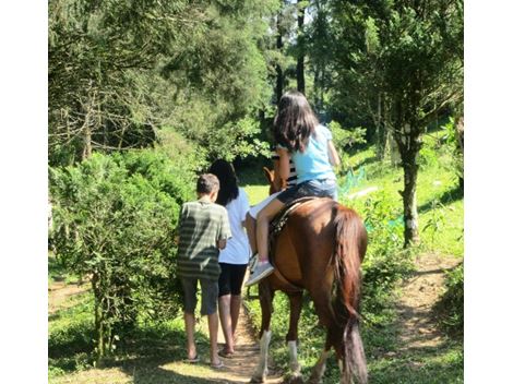 Andando de Cavalo (2)