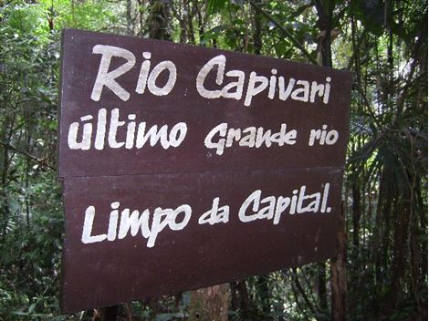 RIO CAPIVARI PAULISTANO